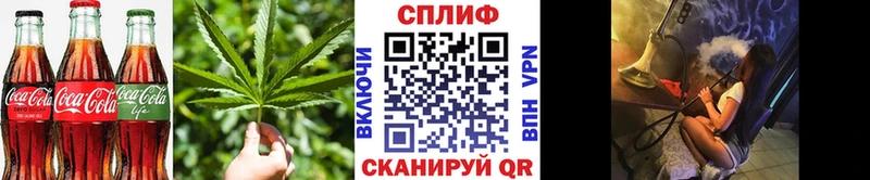купить   Томмот  Canna-Cookies конопля 