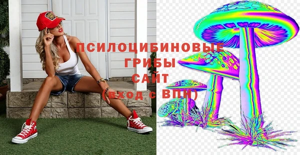 прущие грибы Арсеньев