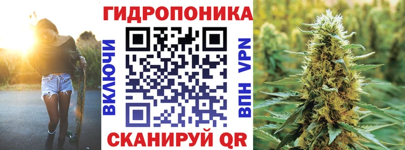 Бошки марихуана AK-47  Томмот 